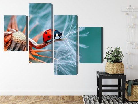 Obraz Wieloczęściowy Biedronka Na Mniszku Lekarskim W Skali Makro Canvas 120x75 LBS-3646-C120-75_2X30-75_2X30-45