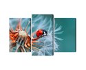 Obraz Wieloczęściowy Biedronka Na Mniszku Lekarskim W Skali Makro Canvas 120x80 LBS-3644-C120-80_1X40-80_2X40-60