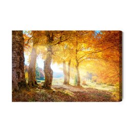 Obraz Na Płótnie Ciepły Jesienny Krajobraz Canvas Naturalny 100x70 LB-232-NC100-70