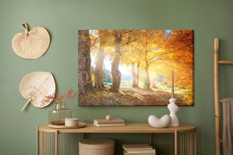 Obraz Na Płótnie Ciepły Jesienny Krajobraz Canvas Naturalny 100x70 LB-232-NC100-70