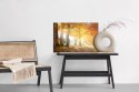 Obraz Na Płótnie Ciepły Jesienny Krajobraz Canvas Naturalny 100x70 LB-232-NC100-70