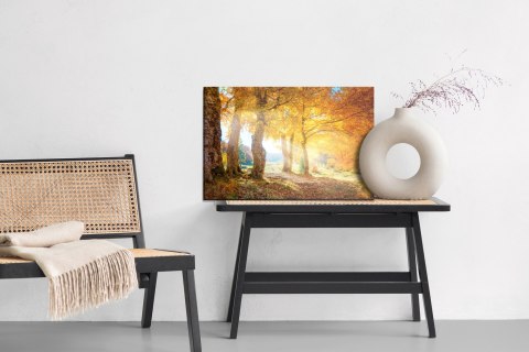 Obraz Na Płótnie Ciepły Jesienny Krajobraz Canvas Naturalny 100x70 LB-232-NC100-70