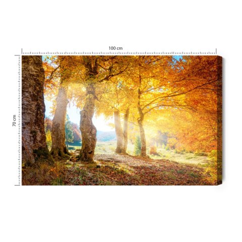 Obraz Na Płótnie Ciepły Jesienny Krajobraz Canvas Naturalny 100x70 LB-232-NC100-70