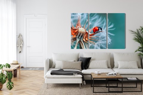 Obraz Wieloczęściowy Biedronka Na Mniszku Lekarskim W Skali Makro Canvas 120x80 LBS-3643-C120-80_3X40-80