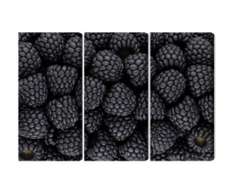 Obraz Wieloczęściowy Jeżyny W Skali Makro Canvas 120x80 LBS-3948-C120-80_3X40-80