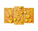 Obraz Wieloczęściowy Krople Wody Na Jesiennym Liściu Makro Canvas 120x80 LBS-3819-C120-80_1X40-80_2X40-60