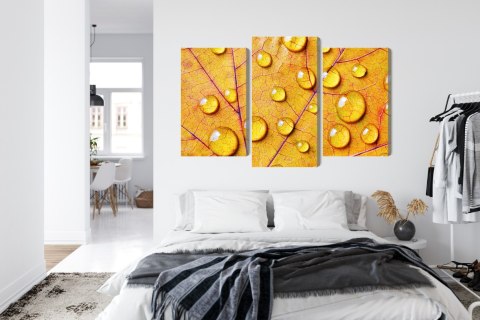 Obraz Wieloczęściowy Krople Wody Na Jesiennym Liściu Makro Canvas 120x80 LBS-3819-C120-80_1X40-80_2X40-60