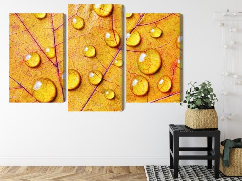 Obraz Wieloczęściowy Krople Wody Na Jesiennym Liściu Makro Canvas 120x80 LBS-3819-C120-80_1X40-80_2X40-60