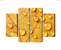 Obraz Wieloczęściowy Krople Wody Na Jesiennym Liściu Makro Canvas 80x60 LBS-3820-C80-60_2X20-60_2X20-40