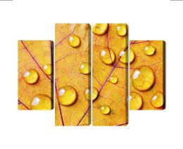 Obraz Wieloczęściowy Krople Wody Na Jesiennym Liściu Makro Canvas 80x60 LBS-3820-C80-60_2X20-60_2X20-40