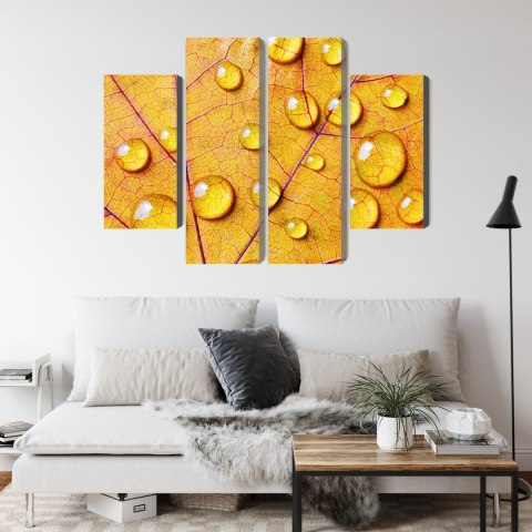 Obraz Wieloczęściowy Krople Wody Na Jesiennym Liściu Makro Canvas 80x60 LBS-3820-C80-60_2X20-60_2X20-40