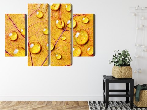 Obraz Wieloczęściowy Krople Wody Na Jesiennym Liściu Makro Canvas 80x60 LBS-3820-C80-60_2X20-60_2X20-40