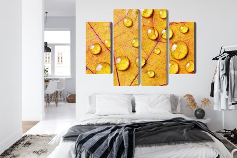 Obraz Wieloczęściowy Krople Wody Na Jesiennym Liściu Makro Canvas Naturalny 80x60 LBS-3820-NC80-60_2X20-60_2X20-40