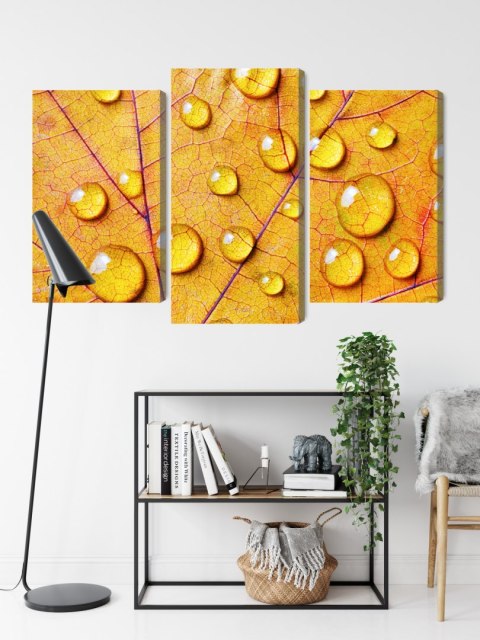 Obraz Wieloczęściowy Krople Wody Na Jesiennym Liściu Makro Canvas Naturalny 90x60 LBS-3819-NC90-60_1X30-60_2X30-45