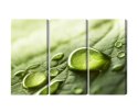 Obraz Wieloczęściowy Krople Wody Na Liściu W Skali Makro Canvas 120x80 LBS-3678-C120-80_3X40-80