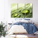 Obraz Wieloczęściowy Krople Wody Na Liściu W Skali Makro Canvas 120x80 LBS-3678-C120-80_3X40-80