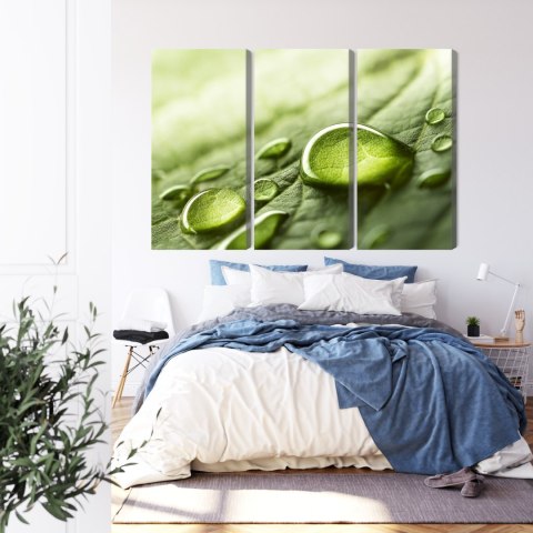Obraz Wieloczęściowy Krople Wody Na Liściu W Skali Makro Canvas 120x80 LBS-3678-C120-80_3X40-80