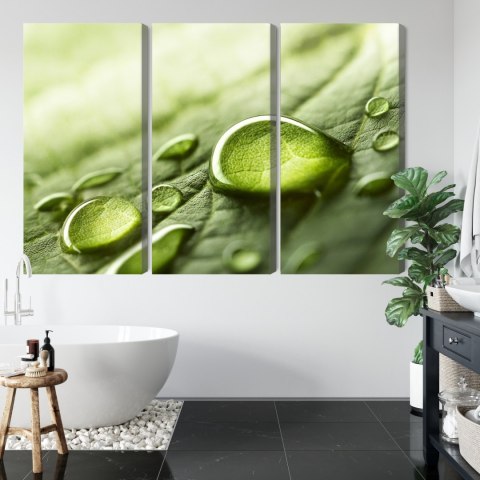 Obraz Wieloczęściowy Krople Wody Na Liściu W Skali Makro Canvas 120x80 LBS-3678-C120-80_3X40-80