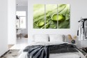 Obraz Wieloczęściowy Krople Wody Na Liściu W Skali Makro Canvas 120x80 LBS-3678-C120-80_3X40-80