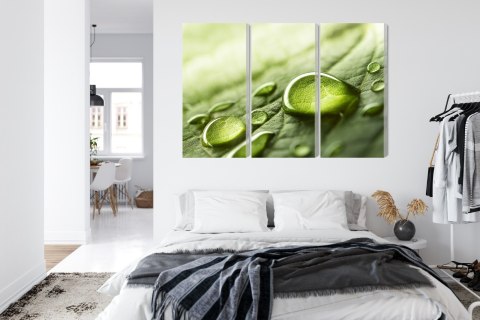 Obraz Wieloczęściowy Krople Wody Na Liściu W Skali Makro Canvas 120x80 LBS-3678-C120-80_3X40-80