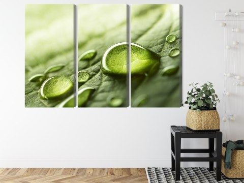 Obraz Wieloczęściowy Krople Wody Na Liściu W Skali Makro Canvas 120x80 LBS-3678-C120-80_3X40-80