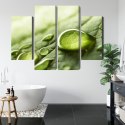 Obraz Wieloczęściowy Krople Wody Na Liściu W Skali Makro Canvas 80x60 LBS-3680-C80-60_2X20-60_2X20-40