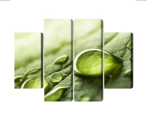 Obraz Wieloczęściowy Krople Wody Na Liściu W Skali Makro Canvas Naturalny 80x60 LBS-3680-NC80-60_2X20-60_2X20-40