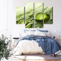 Obraz Wieloczęściowy Krople Wody Na Liściu W Skali Makro Canvas Naturalny 80x60 LBS-3680-NC80-60_2X20-60_2X20-40