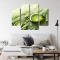 Obraz Wieloczęściowy Krople Wody Na Liściu W Skali Makro Canvas Naturalny 80x60 LBS-3680-NC80-60_2X20-60_2X20-40