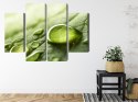 Obraz Wieloczęściowy Krople Wody Na Liściu W Skali Makro Canvas Naturalny 80x60 LBS-3680-NC80-60_2X20-60_2X20-40