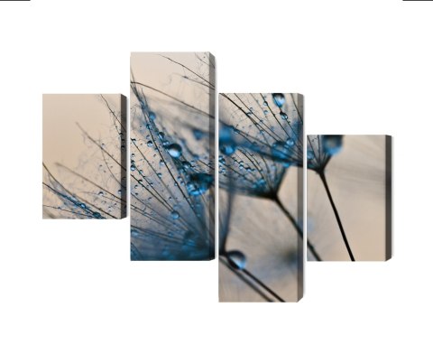 Obraz Wieloczęściowy Mlecze Z Kropelkami Wody W Skali Makro Canvas 120x75 LBS-3686-C120-75_2X30-75_2X30-45