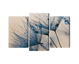 Obraz Wieloczęściowy Mlecze Z Kropelkami Wody W Skali Makro Canvas 120x80 LBS-3684-C120-80_1X40-80_2X40-60