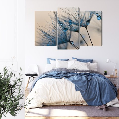 Obraz Wieloczęściowy Mlecze Z Kropelkami Wody W Skali Makro Canvas 120x80 LBS-3684-C120-80_1X40-80_2X40-60