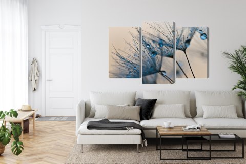 Obraz Wieloczęściowy Mlecze Z Kropelkami Wody W Skali Makro Canvas 120x80 LBS-3684-C120-80_1X40-80_2X40-60