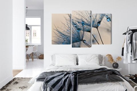 Obraz Wieloczęściowy Mlecze Z Kropelkami Wody W Skali Makro Canvas 120x80 LBS-3684-C120-80_1X40-80_2X40-60