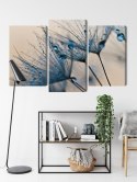 Obraz Wieloczęściowy Mlecze Z Kropelkami Wody W Skali Makro Canvas 120x80 LBS-3684-C120-80_1X40-80_2X40-60