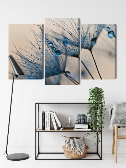 Obraz Wieloczęściowy Mlecze Z Kropelkami Wody W Skali Makro Canvas 120x80 LBS-3684-C120-80_1X40-80_2X40-60