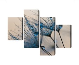 Obraz Wieloczęściowy Mlecze Z Kropelkami Wody W Skali Makro Canvas Naturalny 80x50 LBS-3686-NC80-50_2X20-50_2X20-30