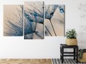 Obraz Wieloczęściowy Mlecze Z Kropelkami Wody W Skali Makro Canvas Naturalny 90x60 LBS-3684-NC90-60_1X30-60_2X30-45