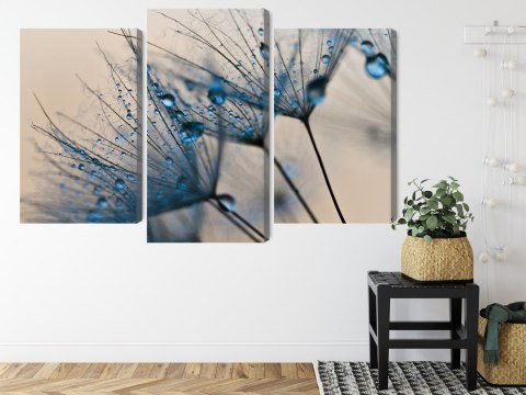 Obraz Wieloczęściowy Mlecze Z Kropelkami Wody W Skali Makro Canvas Naturalny 90x60 LBS-3684-NC90-60_1X30-60_2X30-45