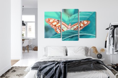 Obraz Wieloczęściowy Motyl Na Liściu W Skali Makro Canvas Naturalny 90x60 LBS-3939-NC90-60_1X30-60_2X30-45