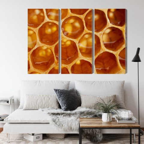 Obraz Wieloczęściowy Plaster Miodu W Skali Makro Canvas 120x80 LBS-3733-C120-80_3X40-80