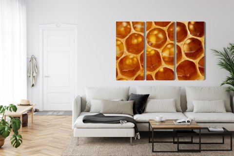Obraz Wieloczęściowy Plaster Miodu W Skali Makro Canvas 120x80 LBS-3733-C120-80_3X40-80