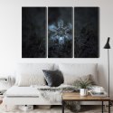 Obraz Wieloczęściowy Płatek Śniegu W Makroskali 3D Canvas 120x80 LBS-3833-C120-80_3X40-80
