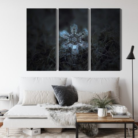 Obraz Wieloczęściowy Płatek Śniegu W Makroskali 3D Canvas 120x80 LBS-3833-C120-80_3X40-80