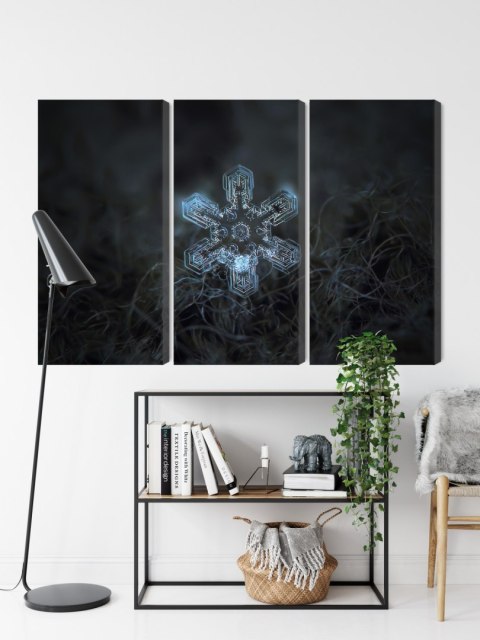Obraz Wieloczęściowy Płatek Śniegu W Makroskali 3D Canvas 120x80 LBS-3833-C120-80_3X40-80