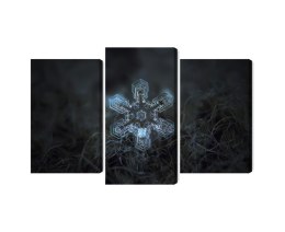 Obraz Wieloczęściowy Płatek Śniegu W Makroskali 3D Canvas Naturalny 90x60 LBS-3834-NC90-60_1X30-60_2X30-45