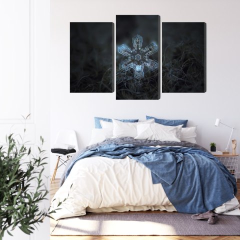 Obraz Wieloczęściowy Płatek Śniegu W Makroskali 3D Canvas Naturalny 90x60 LBS-3834-NC90-60_1X30-60_2X30-45