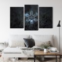 Obraz Wieloczęściowy Płatek Śniegu W Makroskali 3D Canvas Naturalny 90x60 LBS-3834-NC90-60_1X30-60_2X30-45