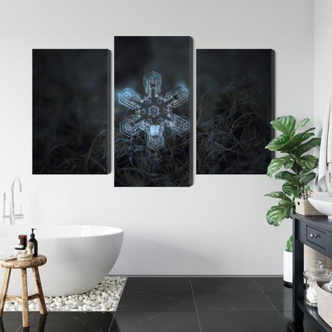 Obraz Wieloczęściowy Płatek Śniegu W Makroskali 3D Canvas Naturalny 90x60 LBS-3834-NC90-60_1X30-60_2X30-45